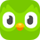 Favicon for duolingo.com