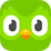 Favicon for Duolingo